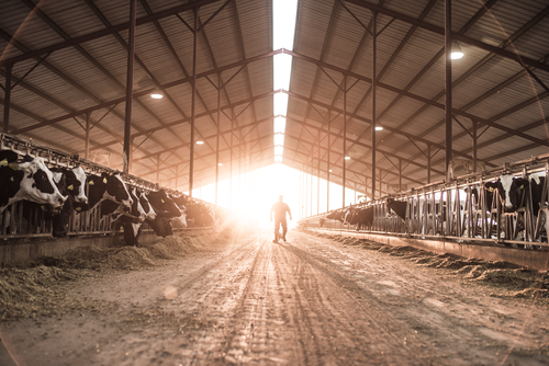 Farm Credit Statement on USDA Announcement of Ag Funding | Farm Credit