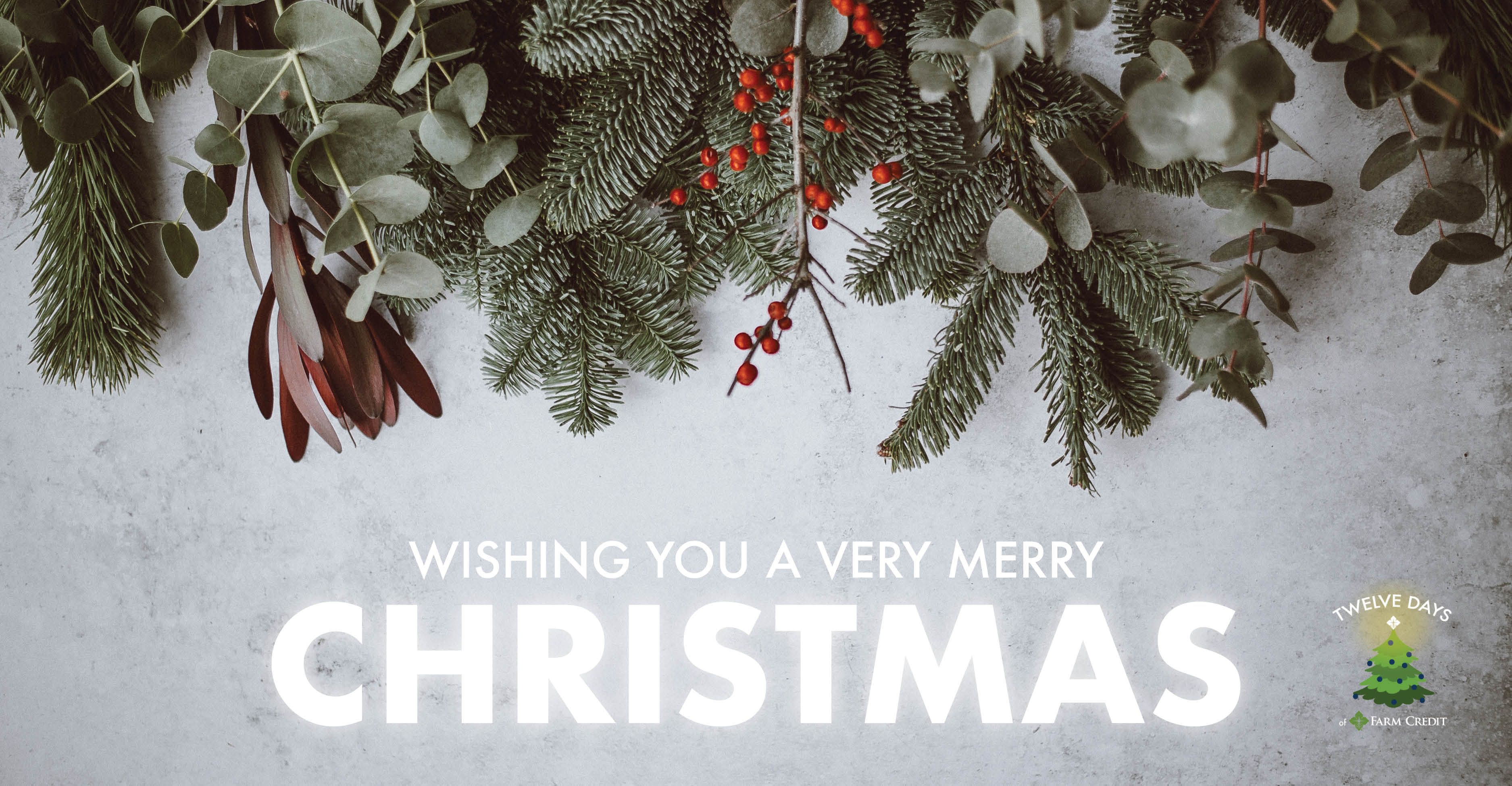 merry christmas graphic with snow and text wishing you a merry christmas from your farm credit family 