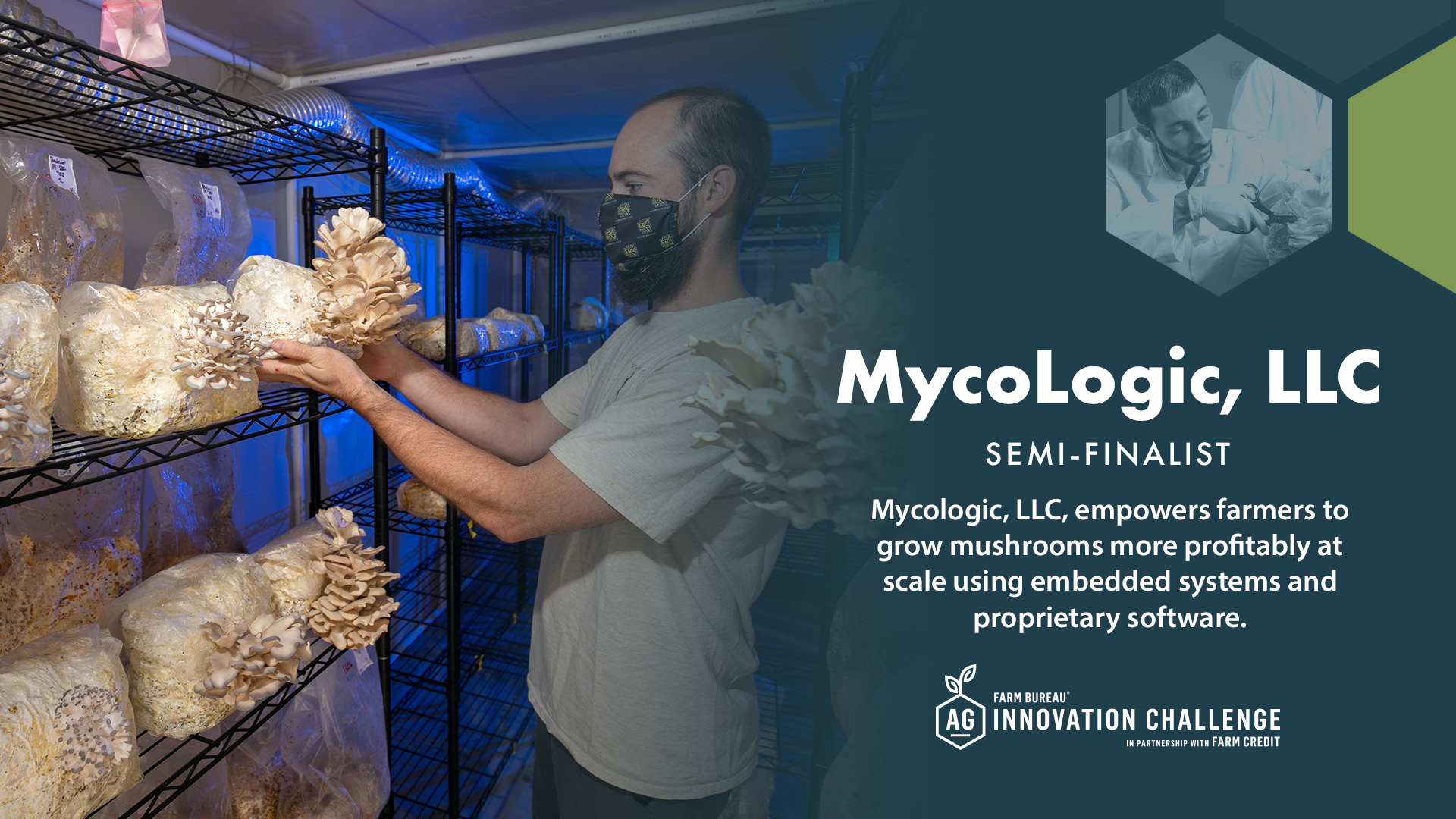 MycoLogicLLC