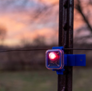 Electric fence with a light