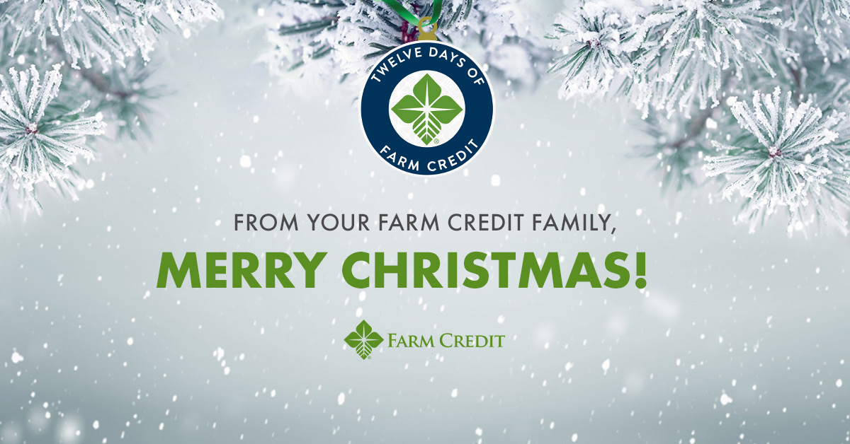 merry christmas graphic with snow and text wishing you a merry christmas from your farm credit family 