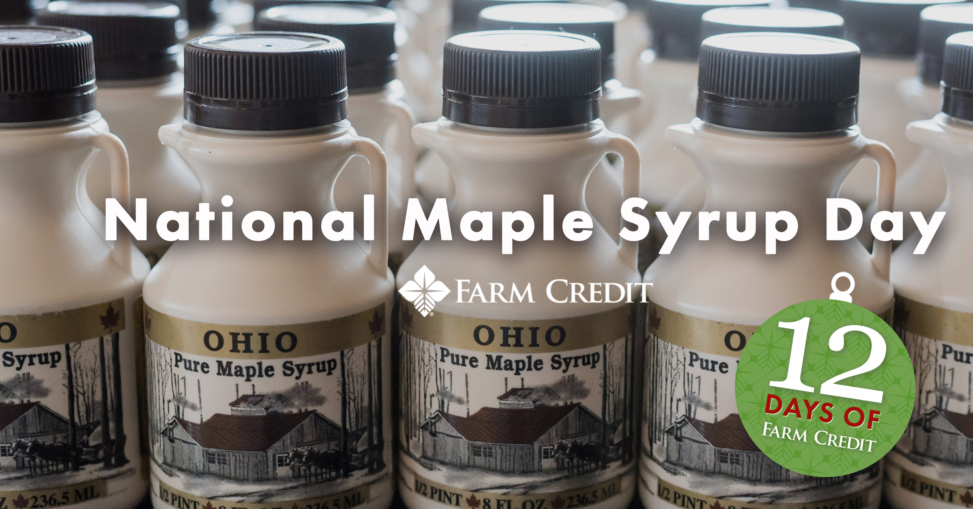 National maple syrup day graphic text on screen syrup bottles ohio