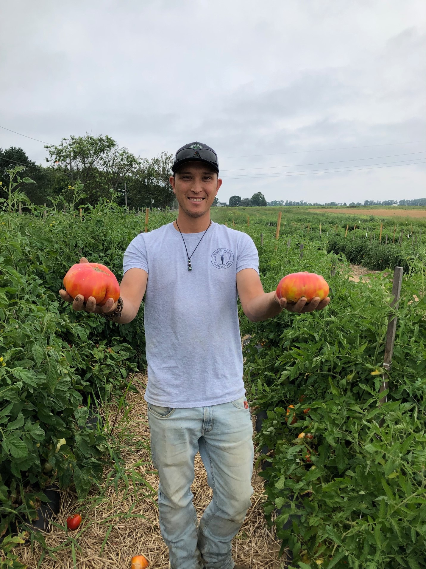 Man in field holding a red tomato in each hand up to the camera.