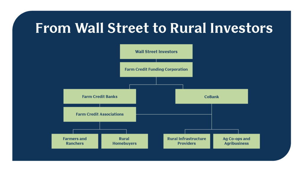 This image is an organizational flowchart titled "From Wall Street to Rural Investors." It visually represents the flow of funds and investments from Wall Street investors down to rural communities. At the top of the chart are "Wall Street Investors," who provide funds to the "Farm Credit Funding Corporation." This corporation then distributes funds to two main entities: "Farm Credit Banks" and "CoBank." The "Farm Credit Banks" provide resources to "Farm Credit Associations," which in turn serve "Farmers and Ranchers" and "Rural Homebuyers." On the other side, "CoBank" directly supports "Rural Infrastructure Providers" and "Ag Co-ops and Agribusiness."