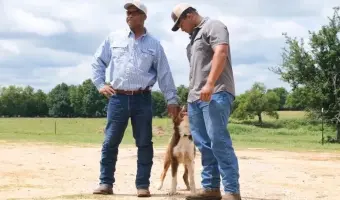 circle-m-ranch circle-m-ranch