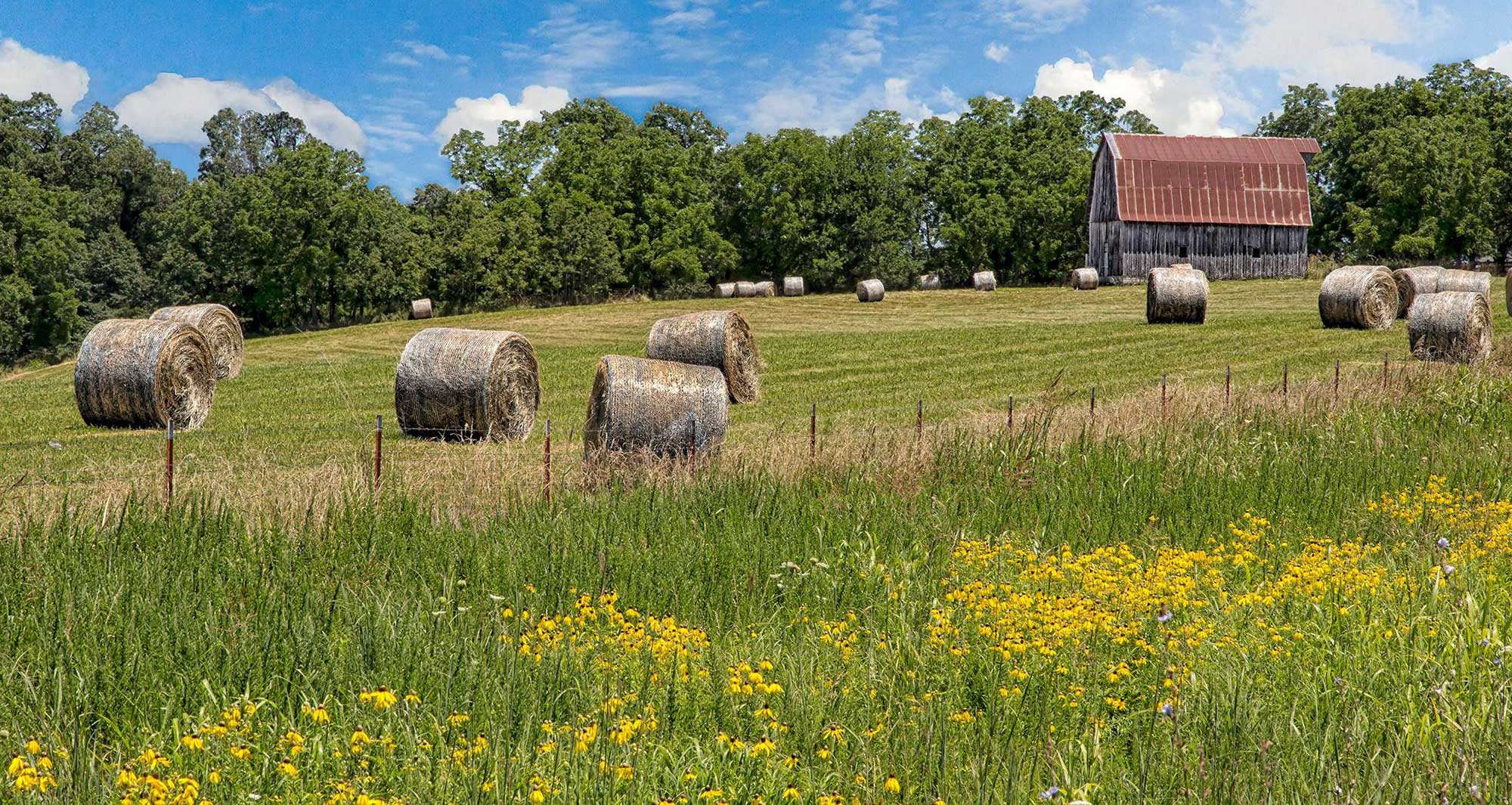 Arkansas - Farm Credit