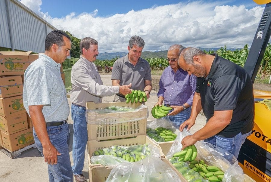 Rico Banana, Inc. - Farm Credit