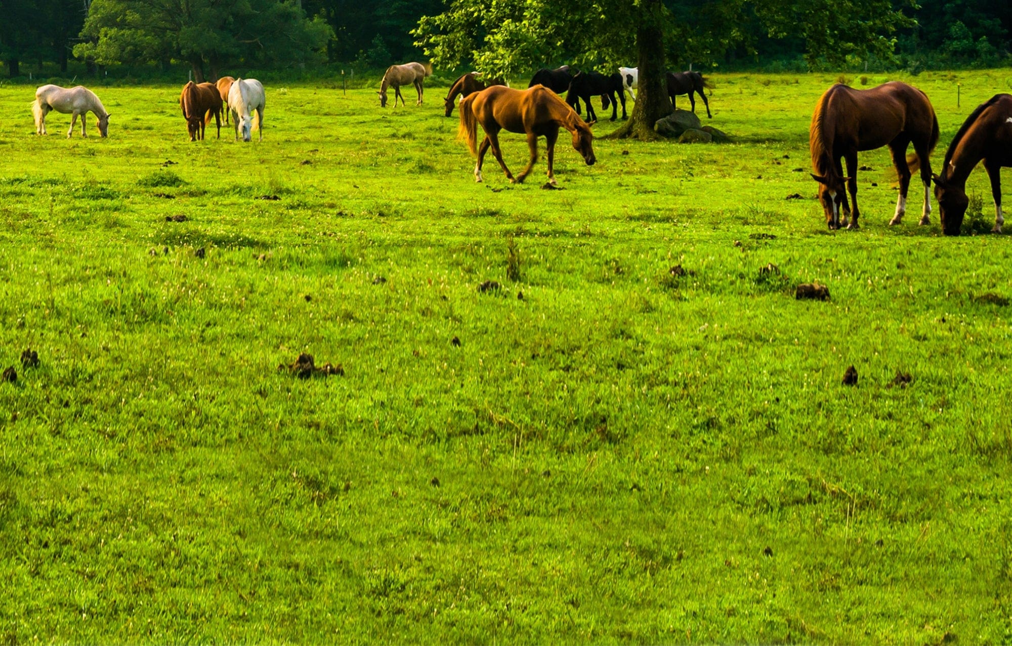 Tennessee - Farm Credit