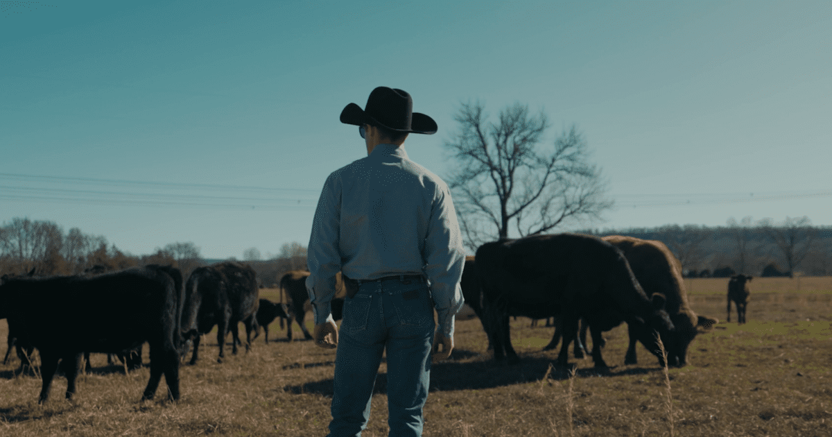 First south farm credit farm credit