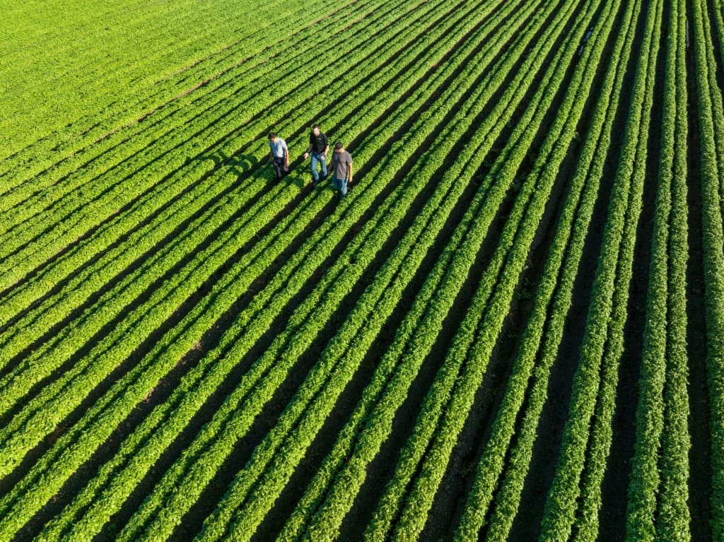 Feel Better, Farm Better: The Importance of Supporting Farmer Mental ...