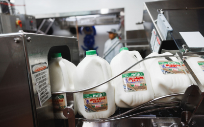 060424_Hollandia_R5C_A0174_SOC_WB