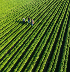 062524_Nuss_Farms_Mavic3_0917_SOC_WB (1)