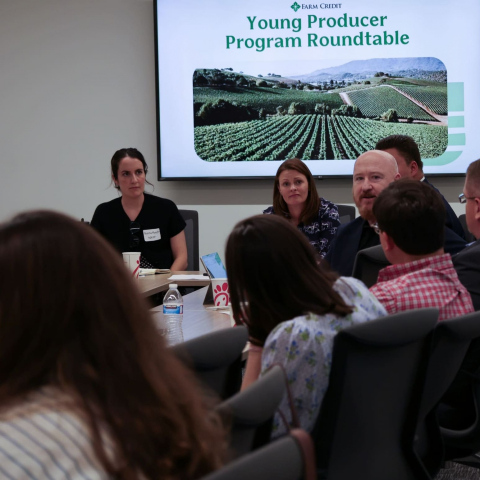 07.29.2026-YBS Roundtable-35