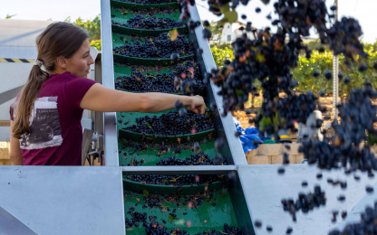 Renzoni - American AgCredit