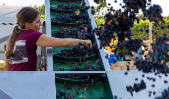 Renzoni - American AgCredit