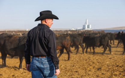 101124_Blackshirt Feeders_27_SOC_WB (1) Blackshirt Feeders