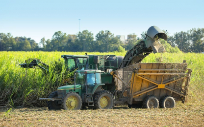 2023AR-StMarySugar-1080x608