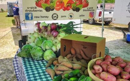 343997811_109008925513475_361200129500835756_n