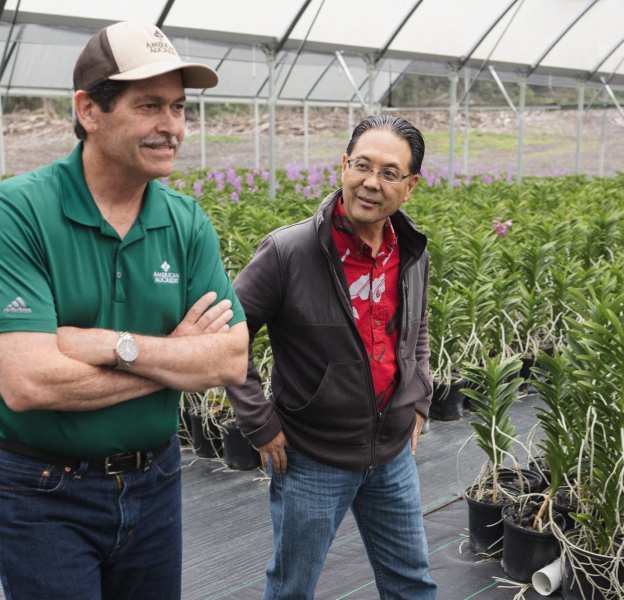 7R6A5584Green Point Nurseries_SOC_WB 7R6A5584Green Point Nurseries_SOC_WB