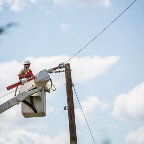 800319AA-6656-4C1B-A761-2816BA41B9B9