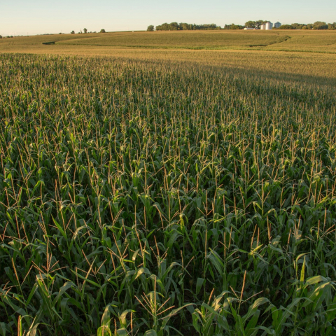 AGRIBANK1.314