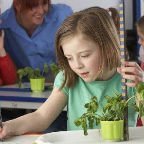 Ag-in-the-classroom-2021_0 Ag-in-the-classroom-2021_0