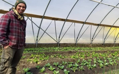 Alexander-Ball1 Alexander-Ball1