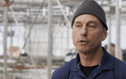 Bluestone-Perennials