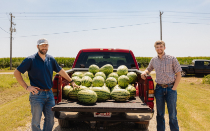 Bradley-Sweet-Corn-66