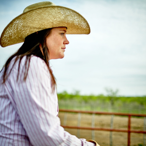 Cattle_MGL5506