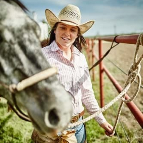 Cattle_MGL5563