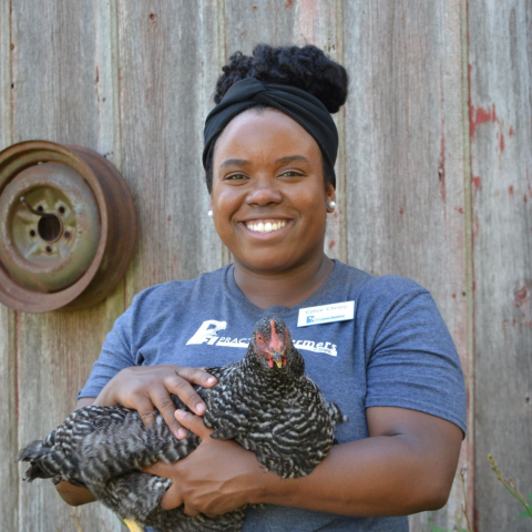 Celize-with-chicken-1_0