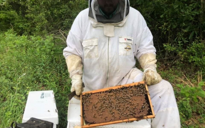 Coys-Honey-Farm