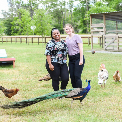 Dillon-George-IMG_2262 Dillon-George-IMG_2262