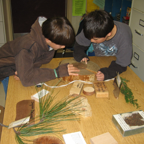 Forest-Foundation_0 Forest-Foundation_0
