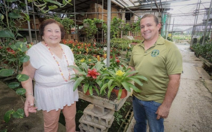 Gladys-Cruz-Plantas-Tropicales_0 Gladys-Cruz-Plantas-Tropicales_0