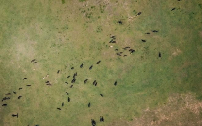 HerringtonBrothers-AgGeorgia