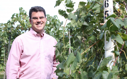 Hofherr-Vineyard-Shot