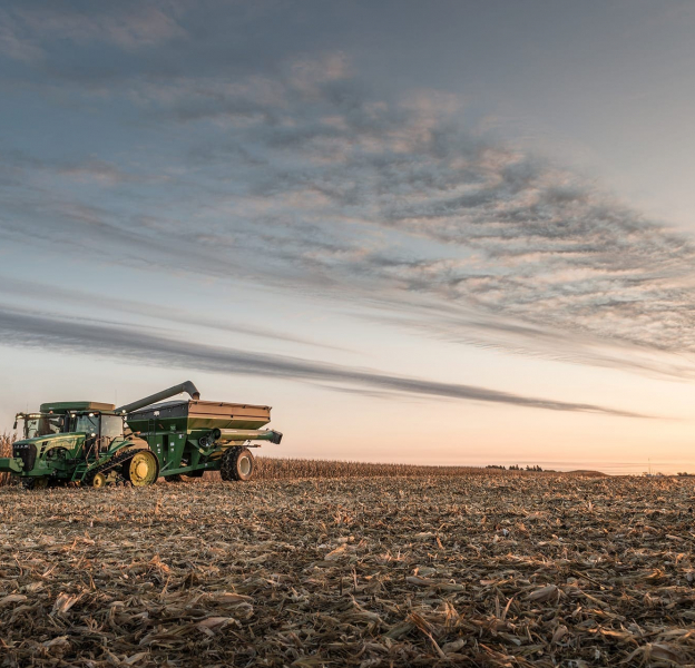 Iowa_Corn_800_7019 Iowa_Corn_800_7019
