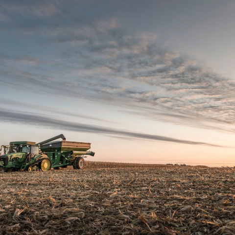 Iowa_Corn_800_7019_2