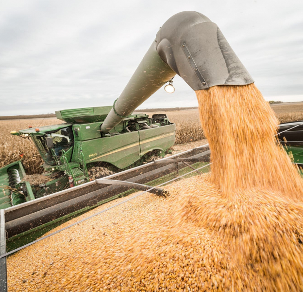 Iowa_Corn_800_7597 Iowa_Corn_800_7597