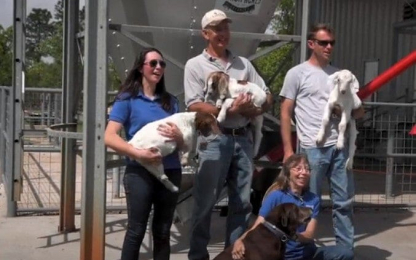 Ithica-Acres-Creamery-3