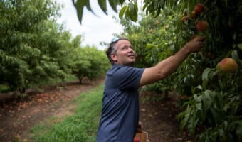 JaemorFarms_AgGeorgia JaemorFarms_AgGeorgia