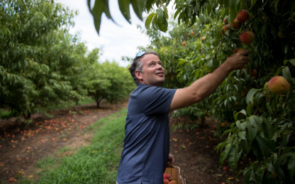 JaemorFarms_AgGeorgia