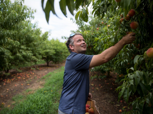 JaemorFarms_AgGeorgia JaemorFarms_AgGeorgia