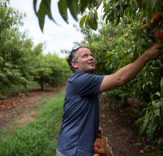 JaemorFarms_AgGeorgia JaemorFarms_AgGeorgia