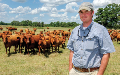 Kovac_cattle_LouLandBank