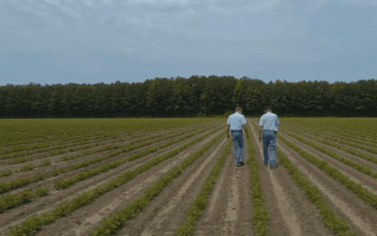 LaneFarms