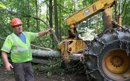 Lincoln Farm Timber Harvesting