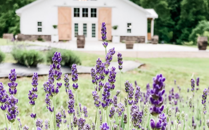 MicrosoftTeams-image-1